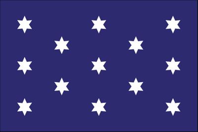 Washington's Cruisers Stick Flag - 4" x 6" - Cotton